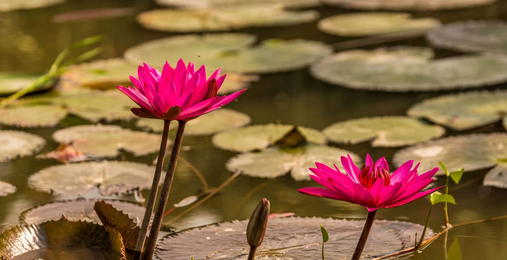 טיול בהתאמה אישית גו איסט