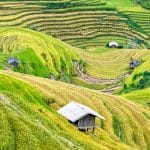 תכנון טיול לויאטנם